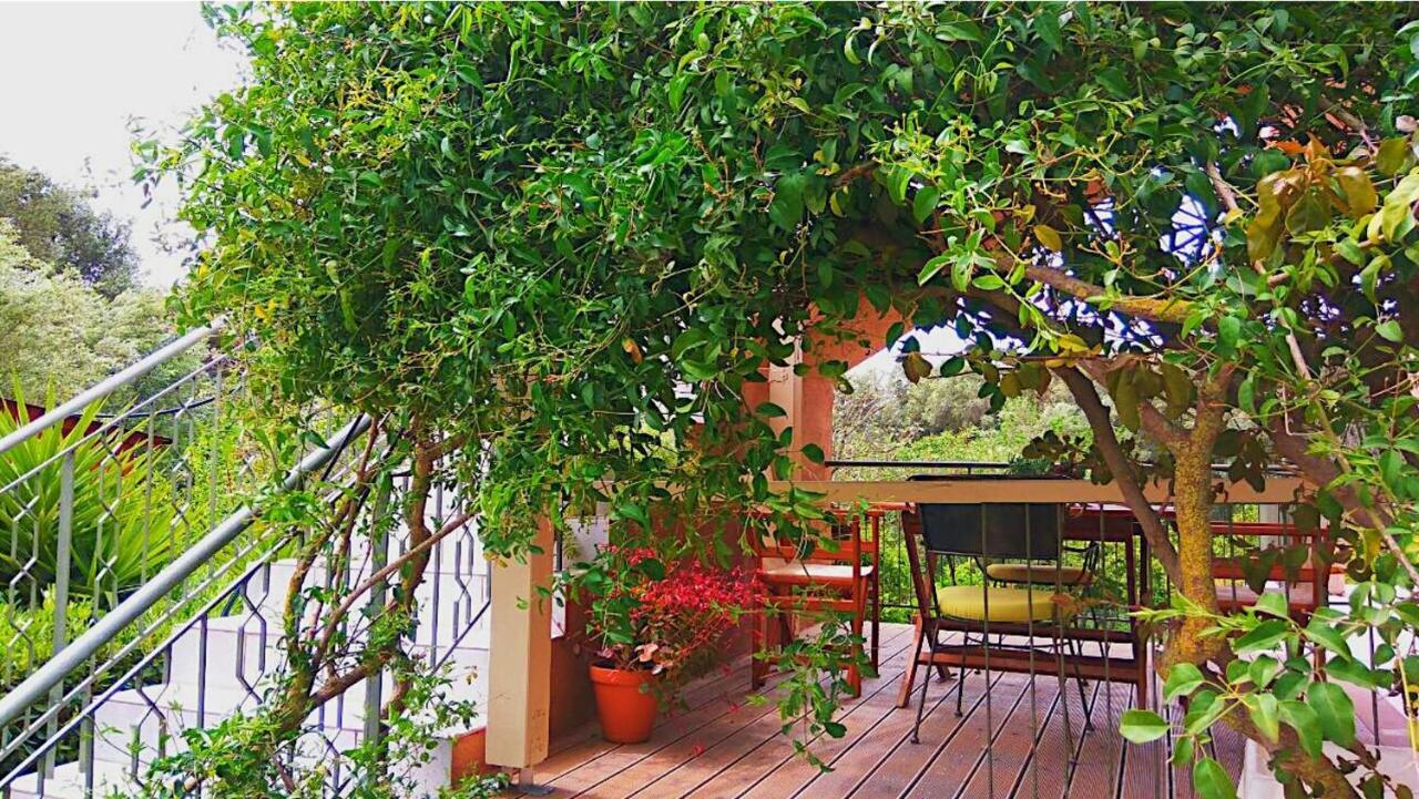 Kefalonia Apartments - Marias Studios - 2 Bedroom Apartment In Orchard, Spartia Экстерьер фото